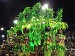 carnaval 21